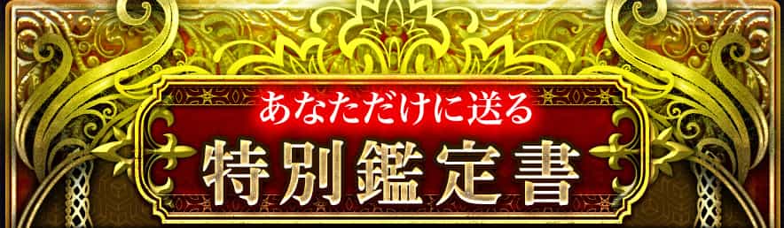 豪華特別鑑定